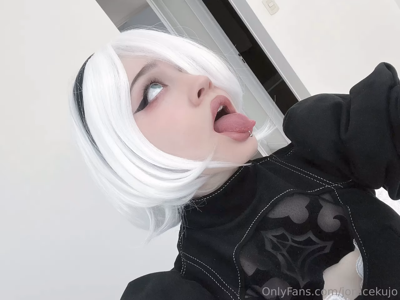Barbara Horacek as 2B — cosplay photo 5 of 69