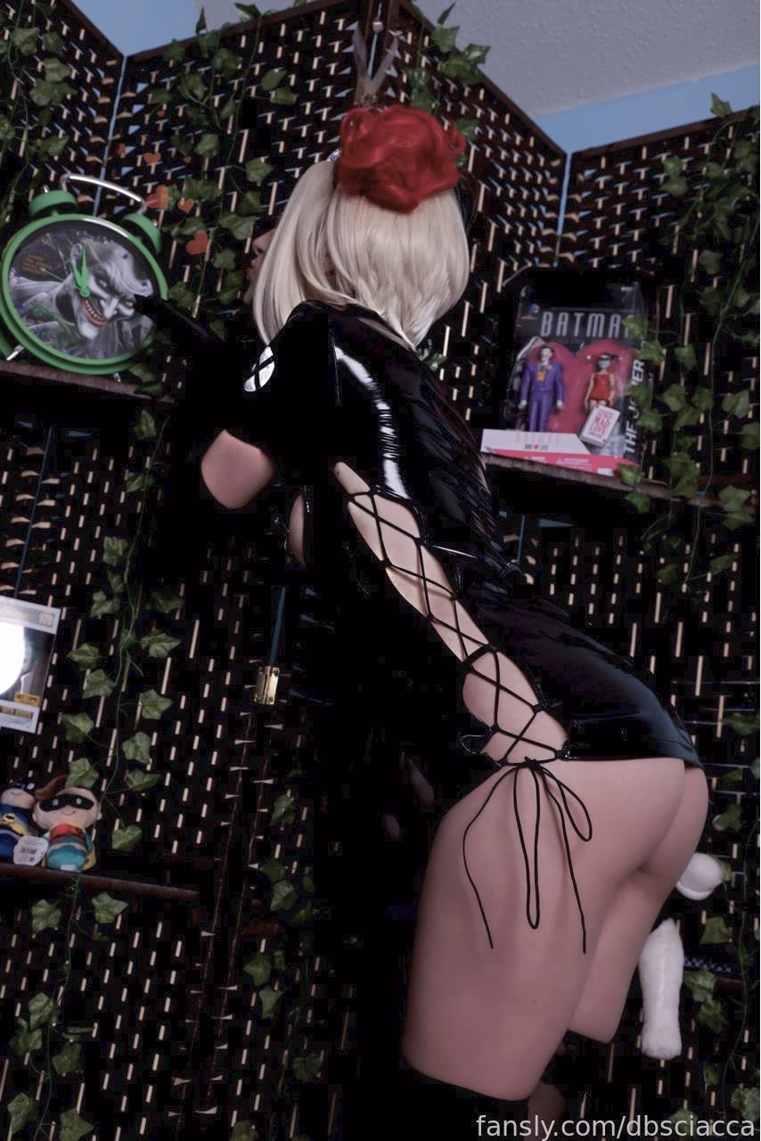 Dani Sciacca as Harley Quinn — cosplay photo 9 of 22