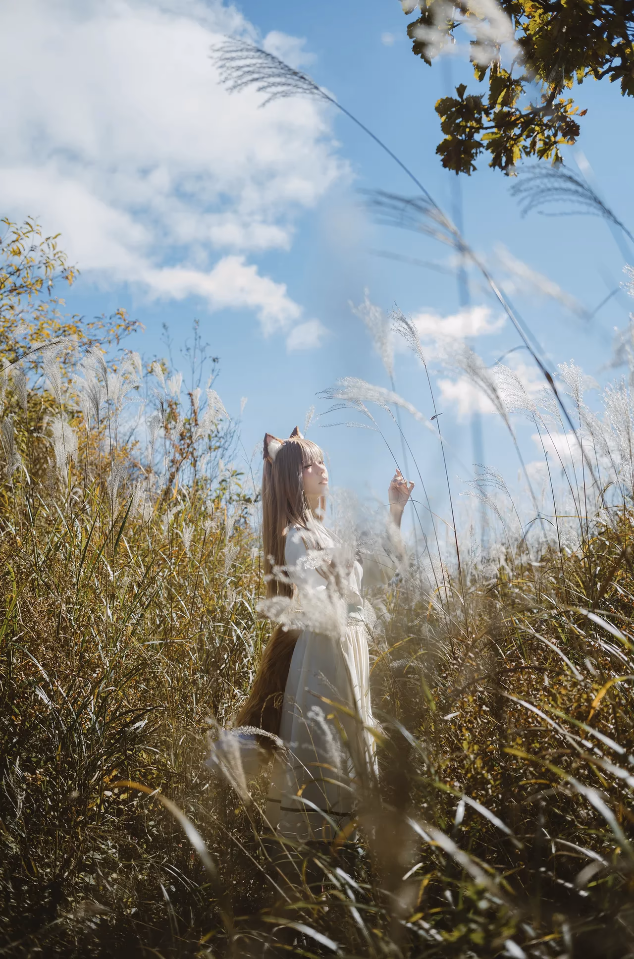 Ely Cosplay as Holo — cosplay photo 10 of 34