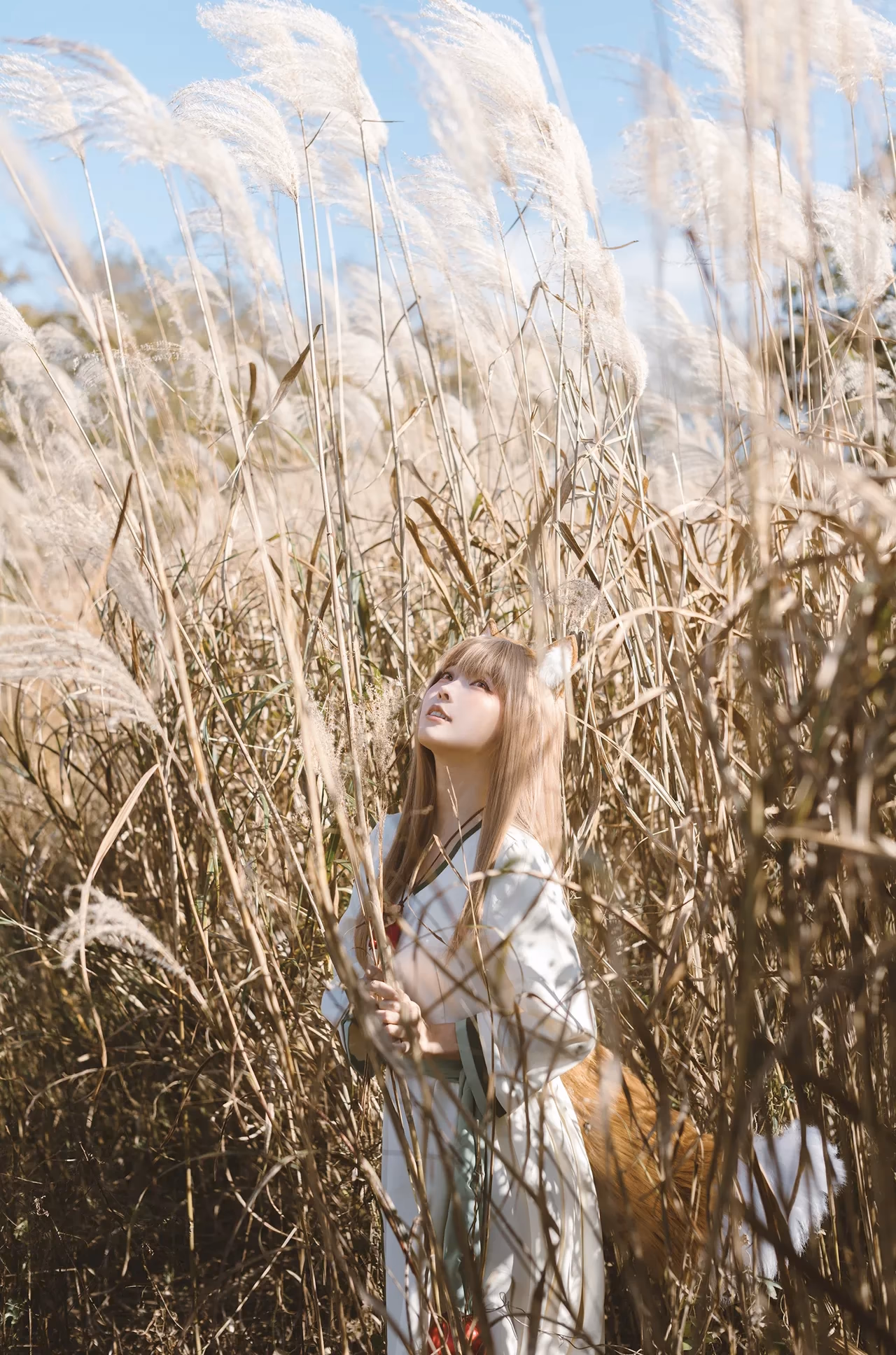 Ely Cosplay as Holo — cosplay photo 29 of 34