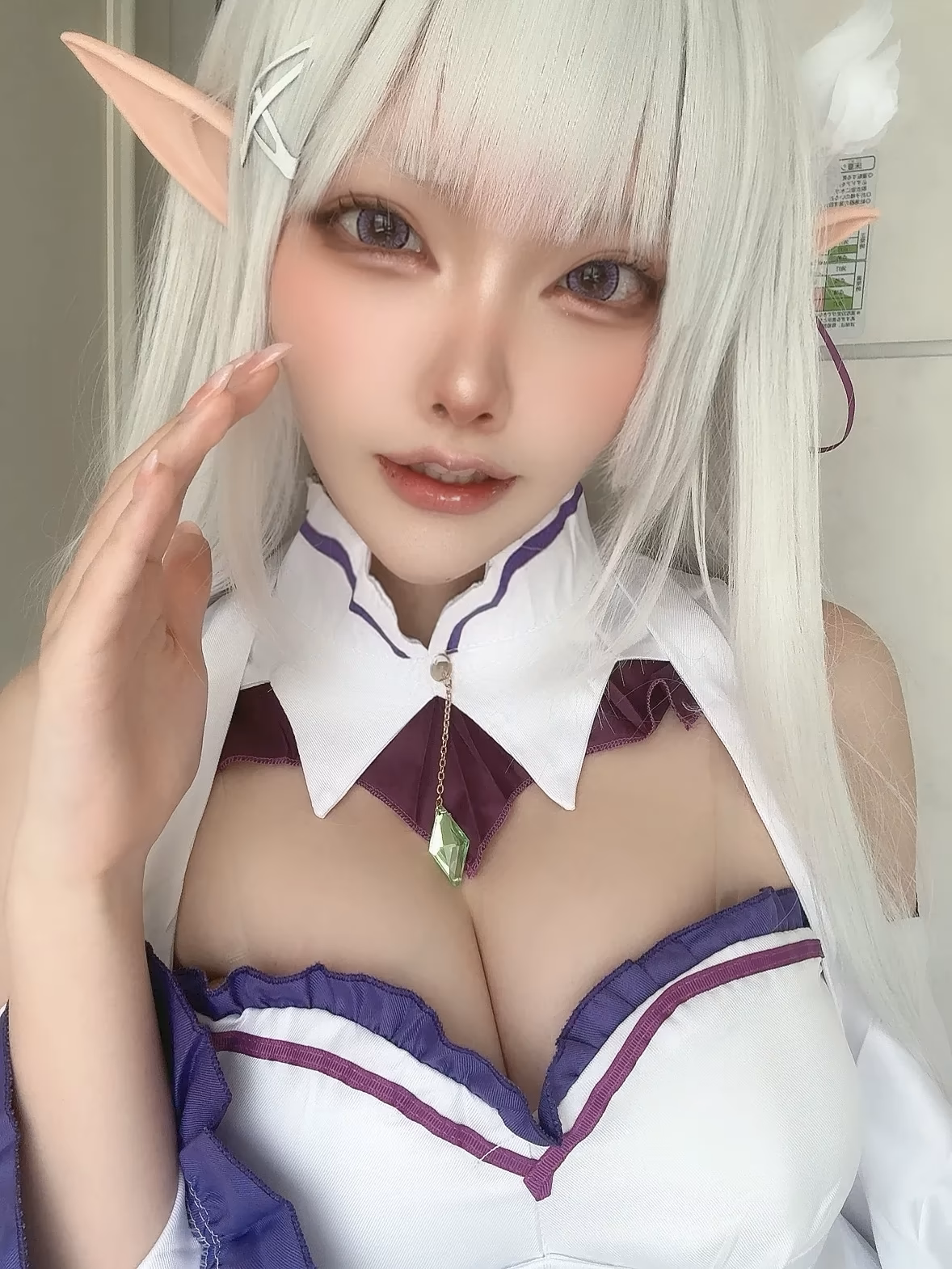 Etocha as Emilia — cosplay photo 44 of 91