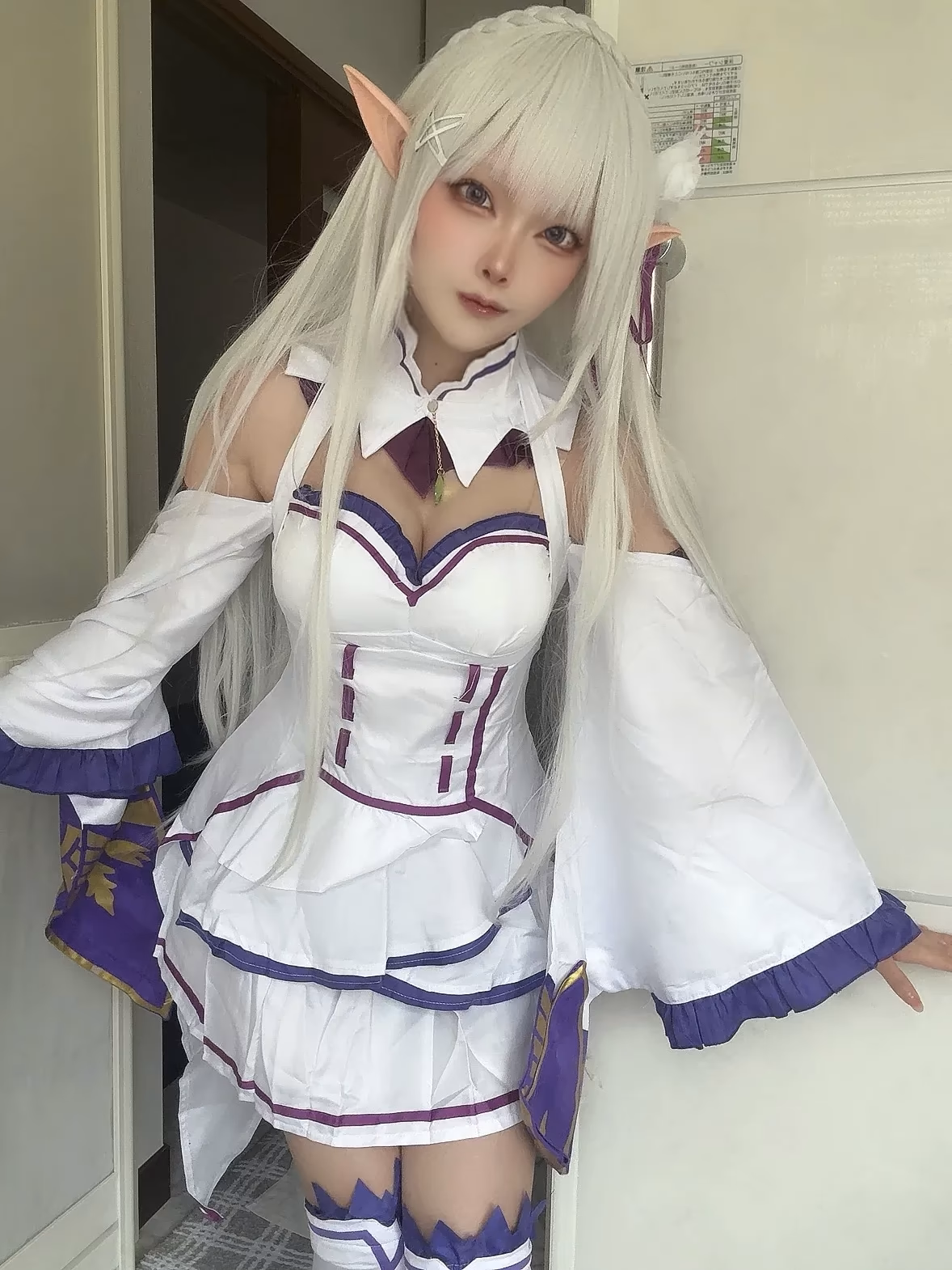 Etocha as Emilia — cosplay photo 81 of 91