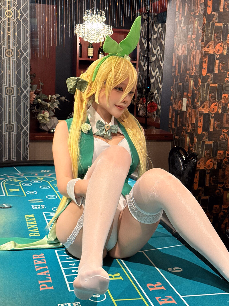 Etocha as Leafa (Suguha Kirigaya) — cosplay photo 11 of 67