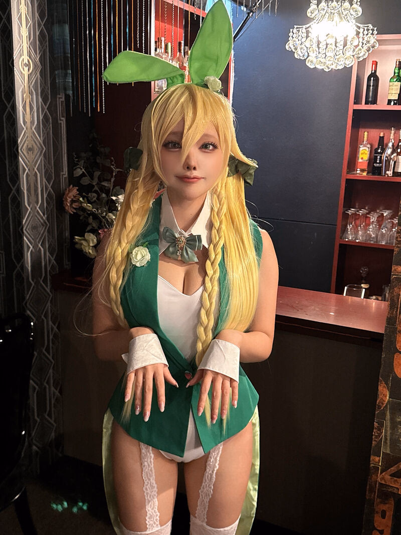Etocha as Leafa (Suguha Kirigaya) — cosplay photo 39 of 67