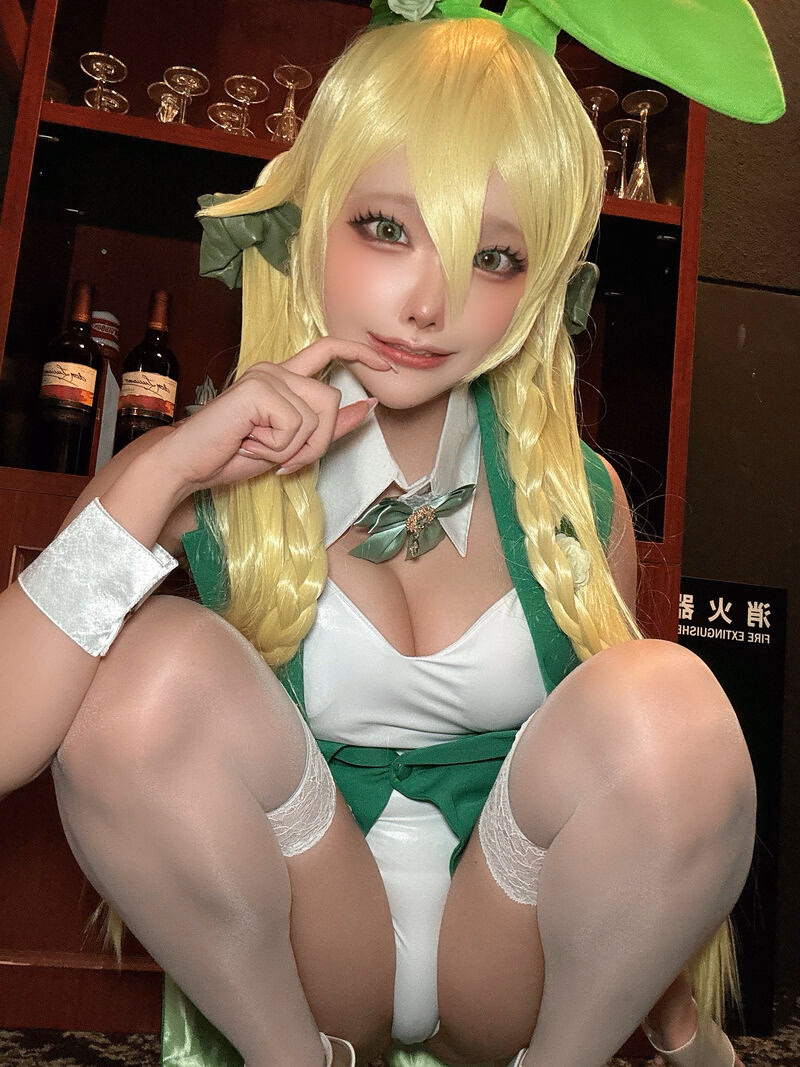 Etocha as Leafa (Suguha Kirigaya) — cosplay photo 46 of 67