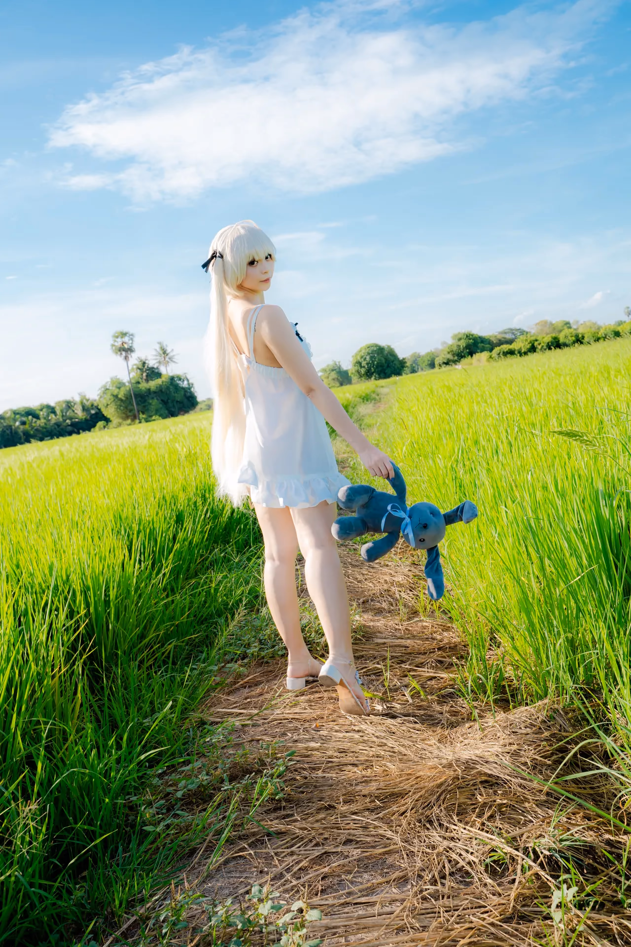 Kadorin Hitomi as Sora Kasugano — cosplay photo 24 of 135