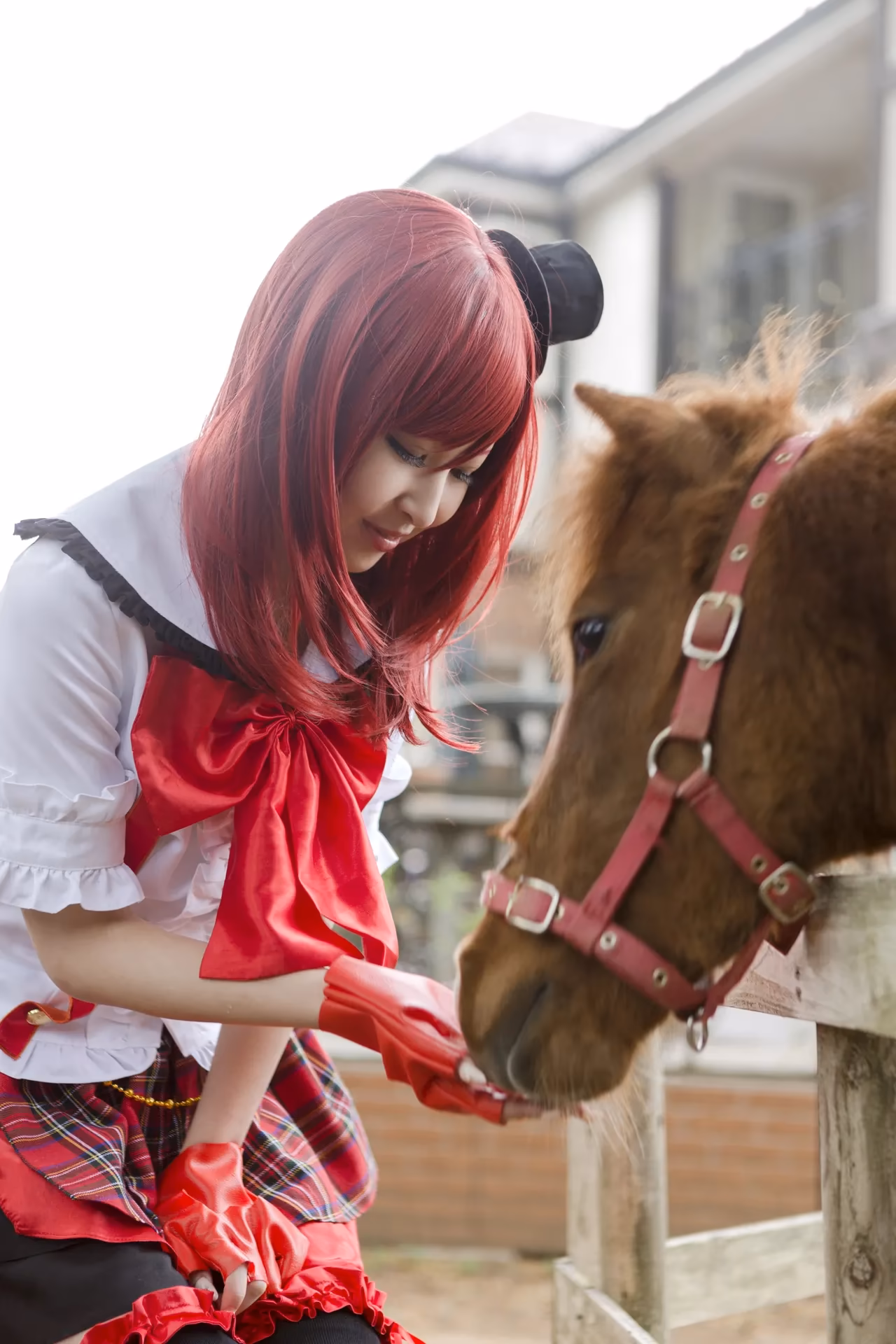 Naa-san as Maki Nishikino — cosplay photo 22 of 143