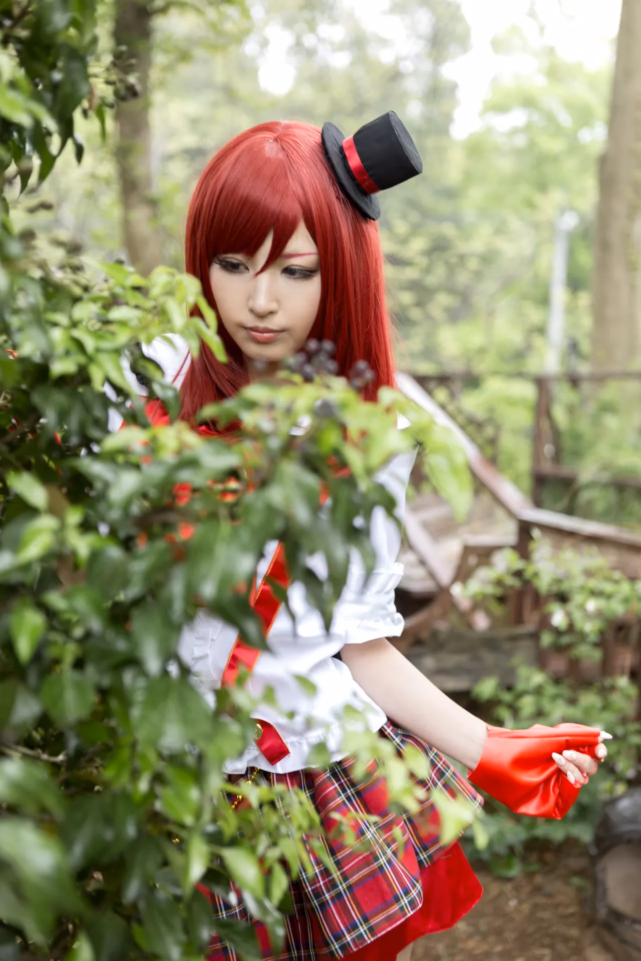 Naa-san as Maki Nishikino — cosplay photo 3 of 143