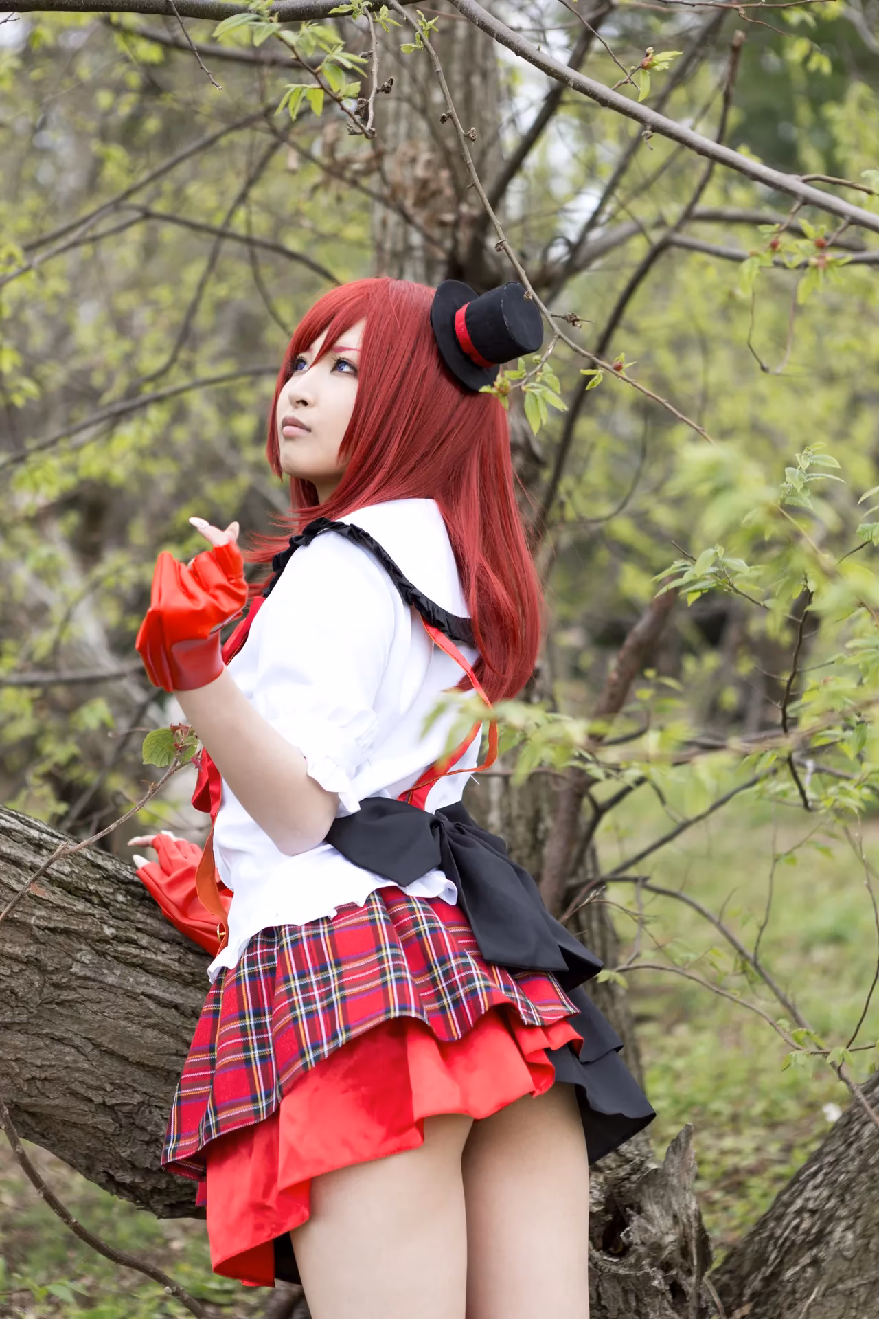 Naa-san as Maki Nishikino — cosplay photo 5 of 143