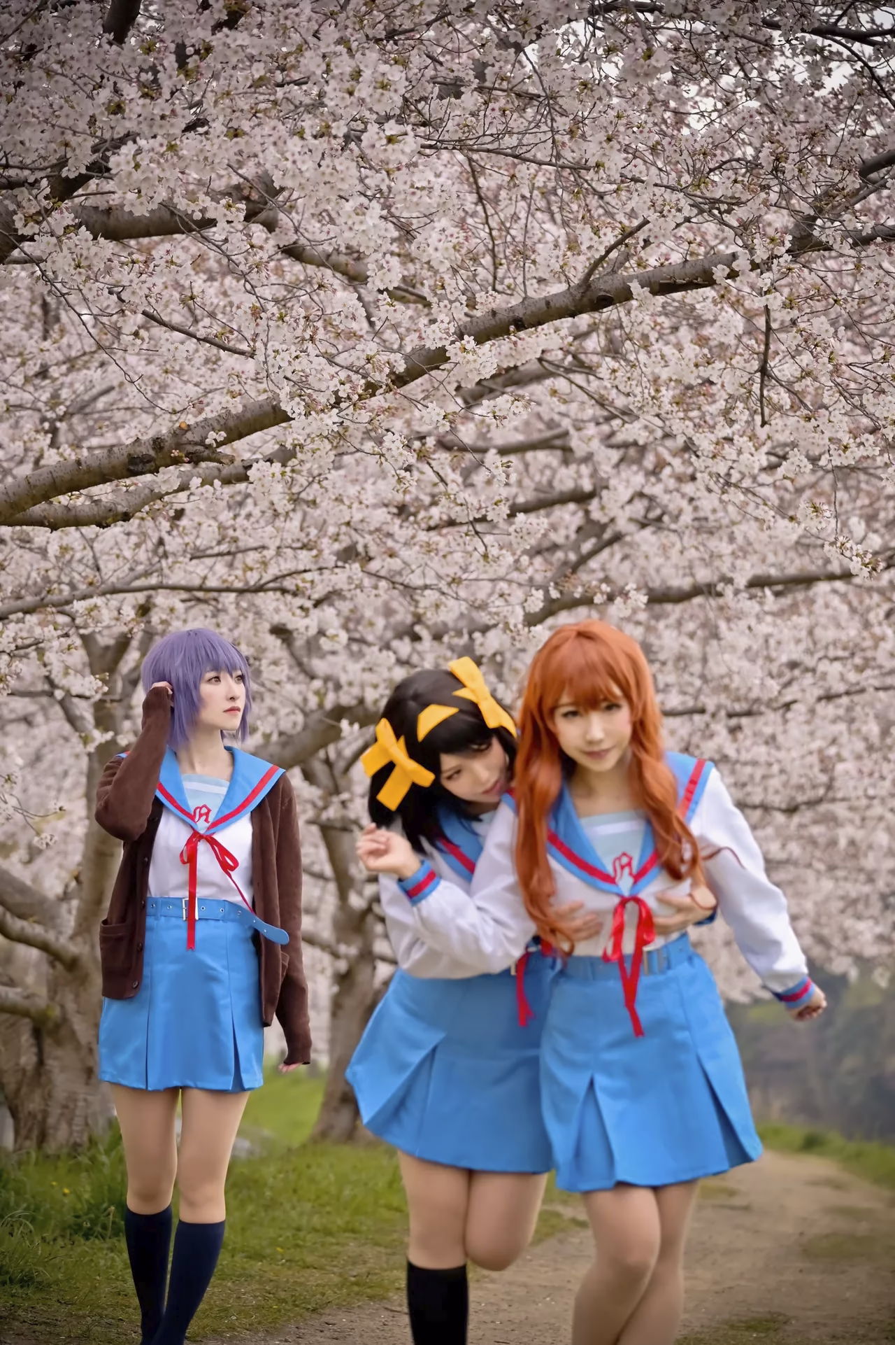rionsakura as Haruhi Suzumiya, Mikuru Asahina, and Yuki Nagato — cosplay photo 43 of 162