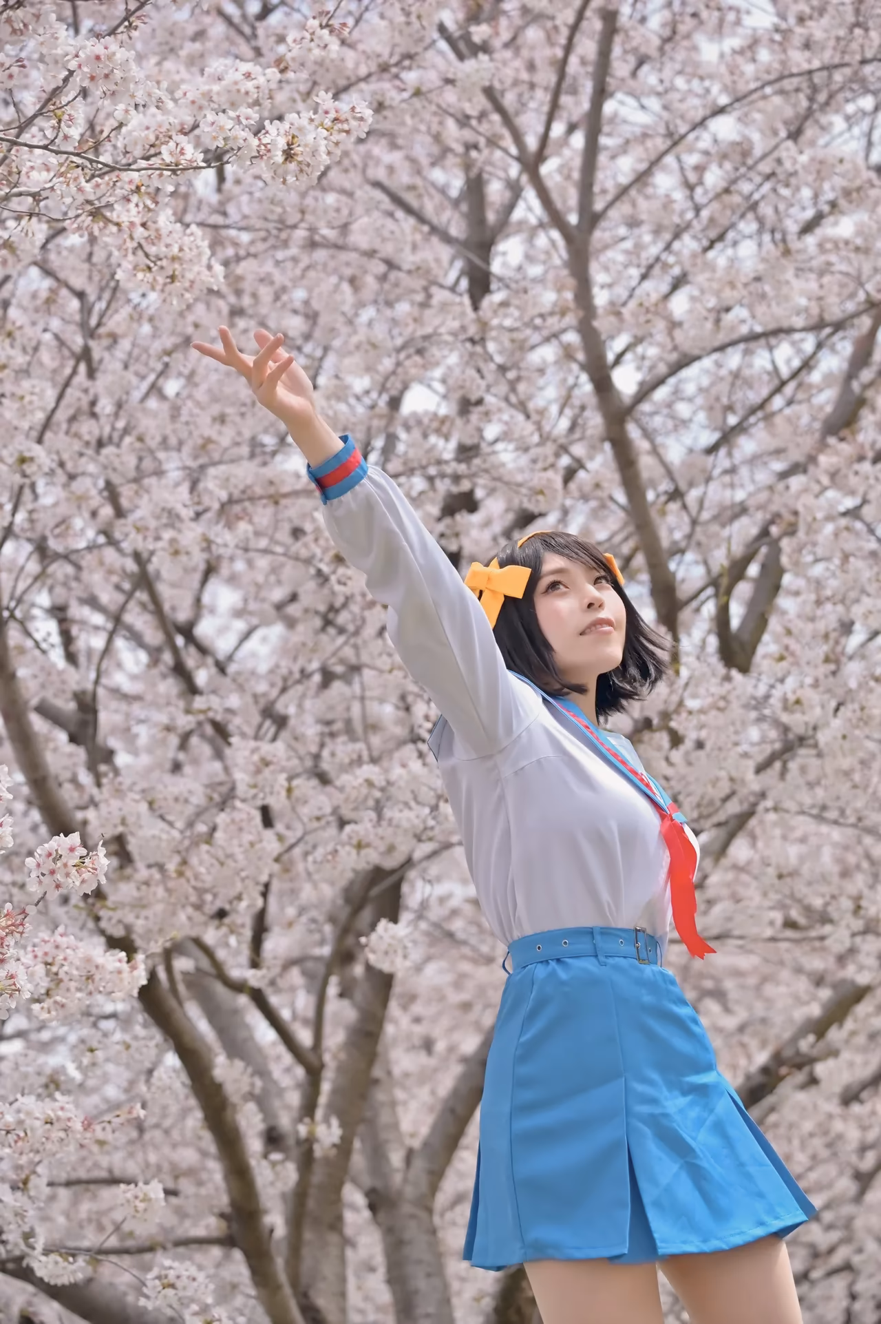 rionsakura as Haruhi Suzumiya, Mikuru Asahina, and Yuki Nagato — cosplay photo 47 of 162