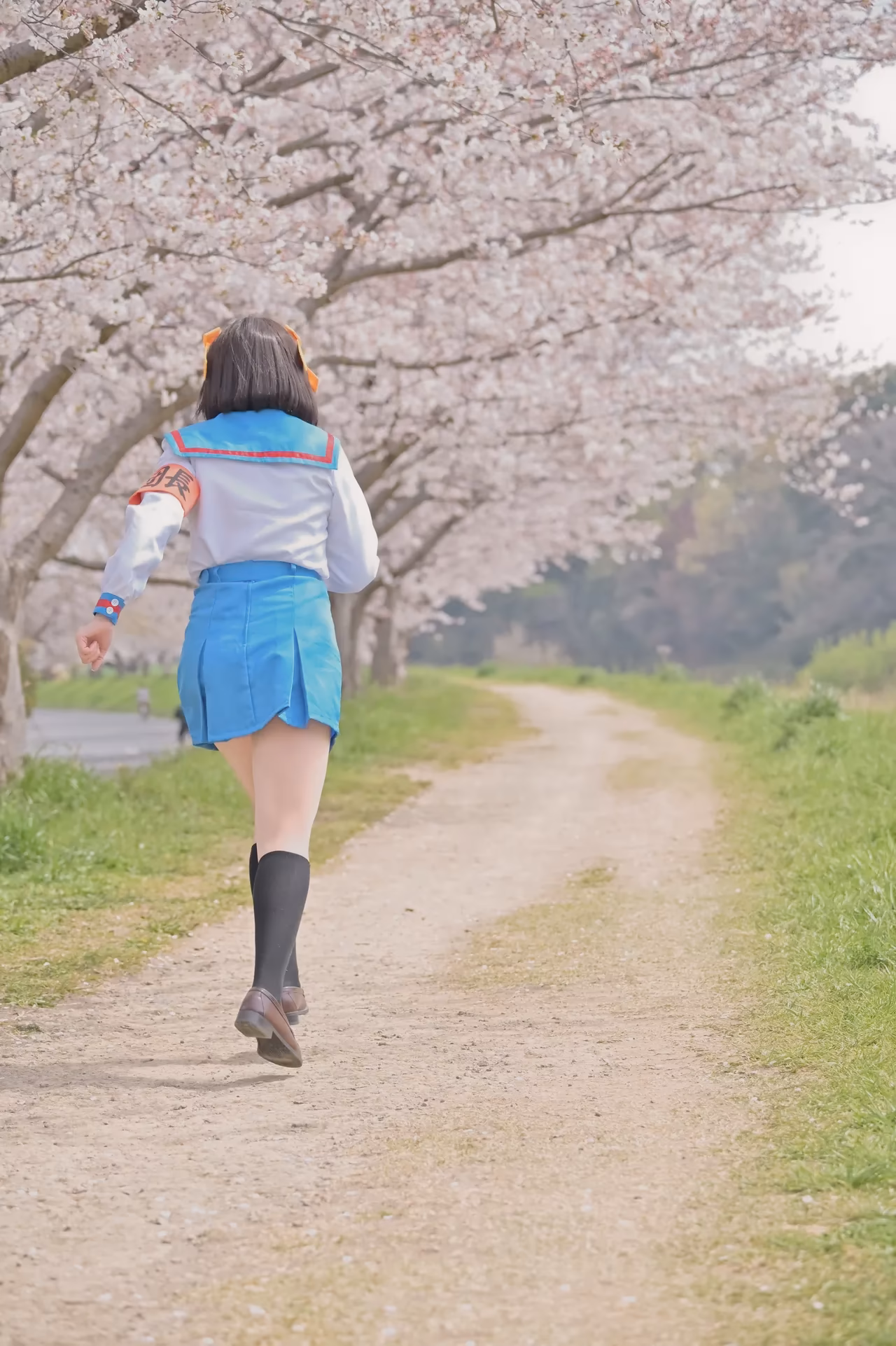 rionsakura as Haruhi Suzumiya, Mikuru Asahina, and Yuki Nagato — cosplay photo 49 of 162