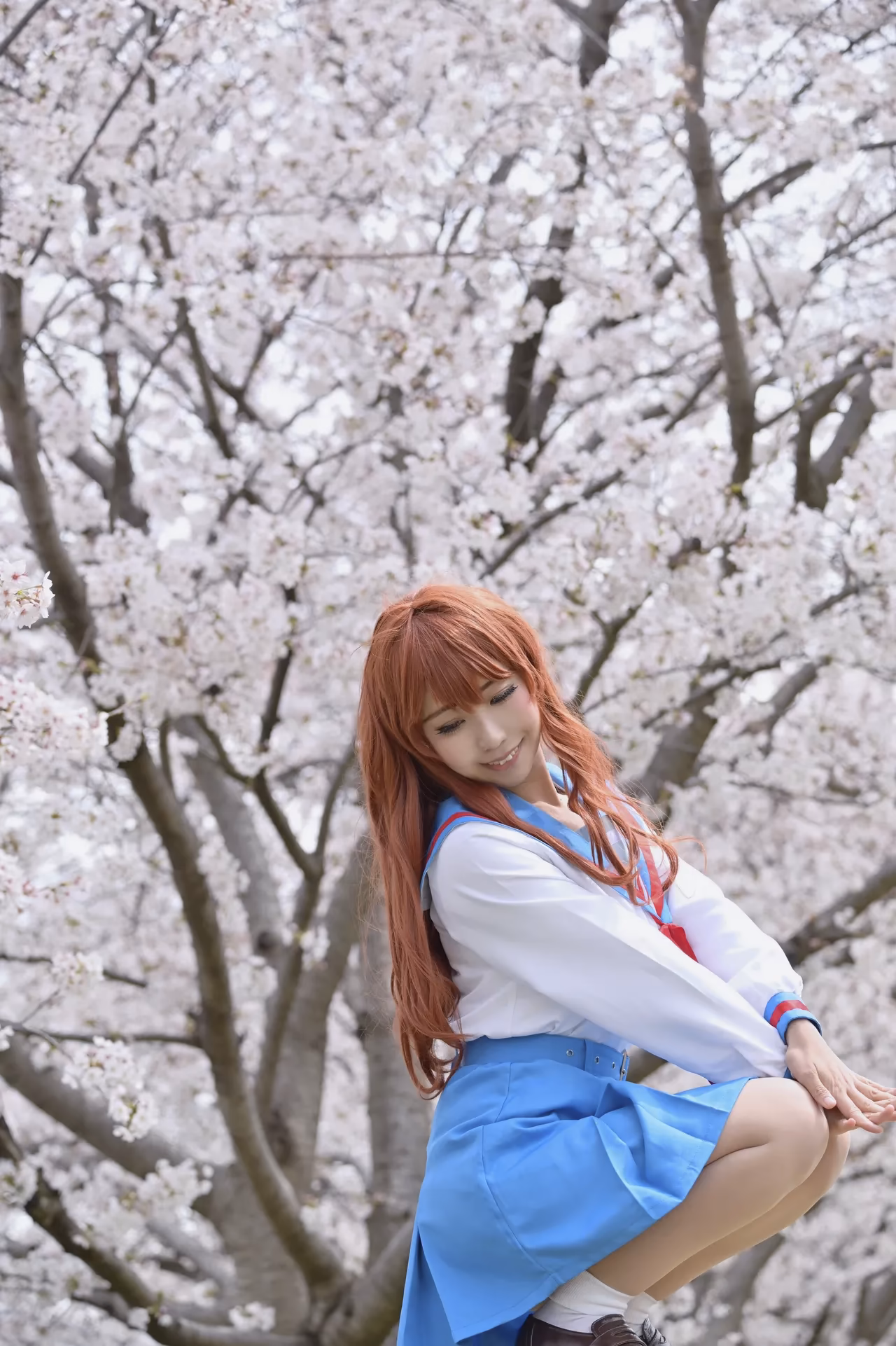 rionsakura as Haruhi Suzumiya, Mikuru Asahina, and Yuki Nagato — cosplay photo 53 of 162