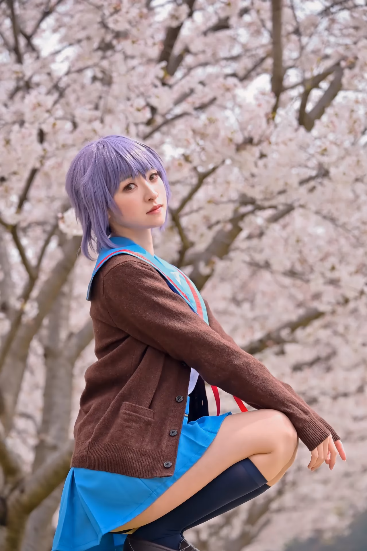rionsakura as Haruhi Suzumiya, Mikuru Asahina, and Yuki Nagato — cosplay photo 58 of 162