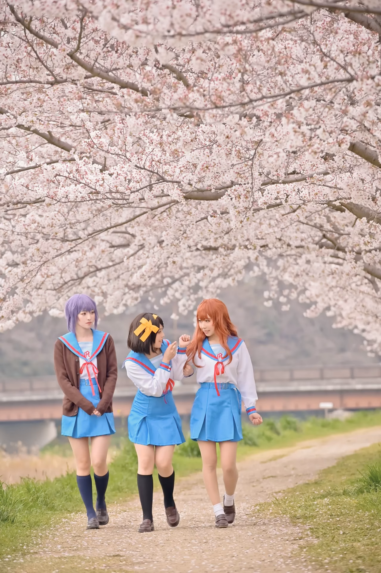 rionsakura as Haruhi Suzumiya, Mikuru Asahina, and Yuki Nagato — cosplay photo 65 of 162