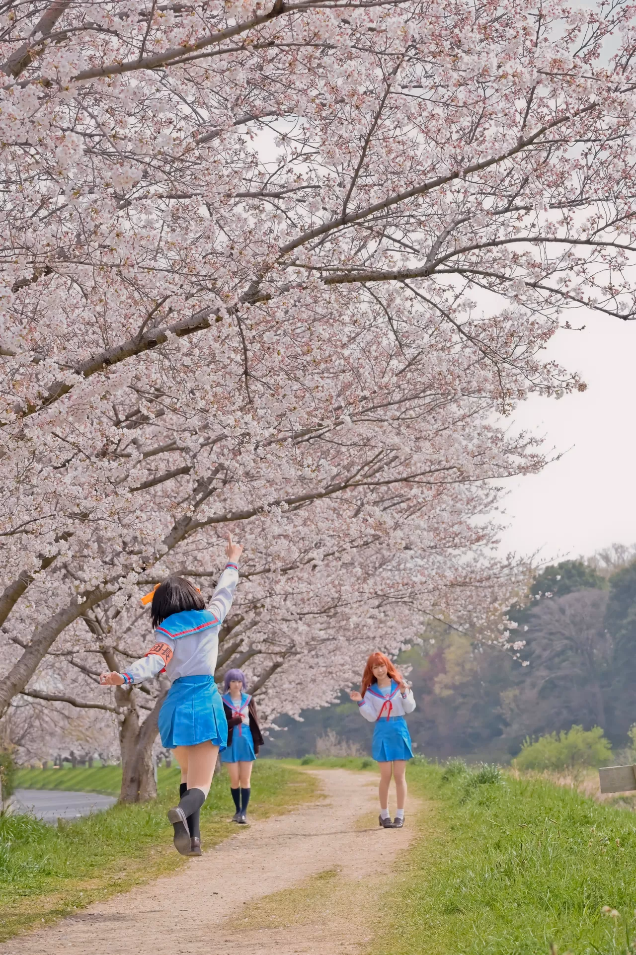rionsakura as Haruhi Suzumiya, Mikuru Asahina, and Yuki Nagato — cosplay photo 66 of 162