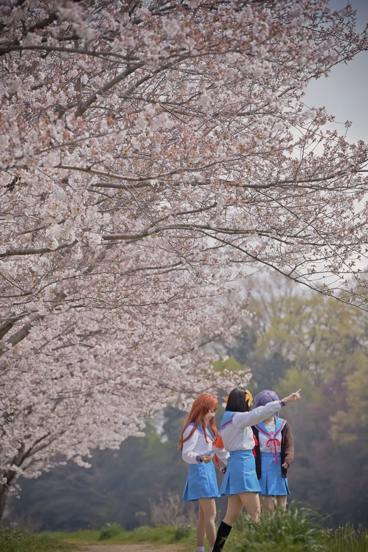 rionsakura as Haruhi Suzumiya, Mikuru Asahina, and Yuki Nagato — cosplay photo 67 of 162