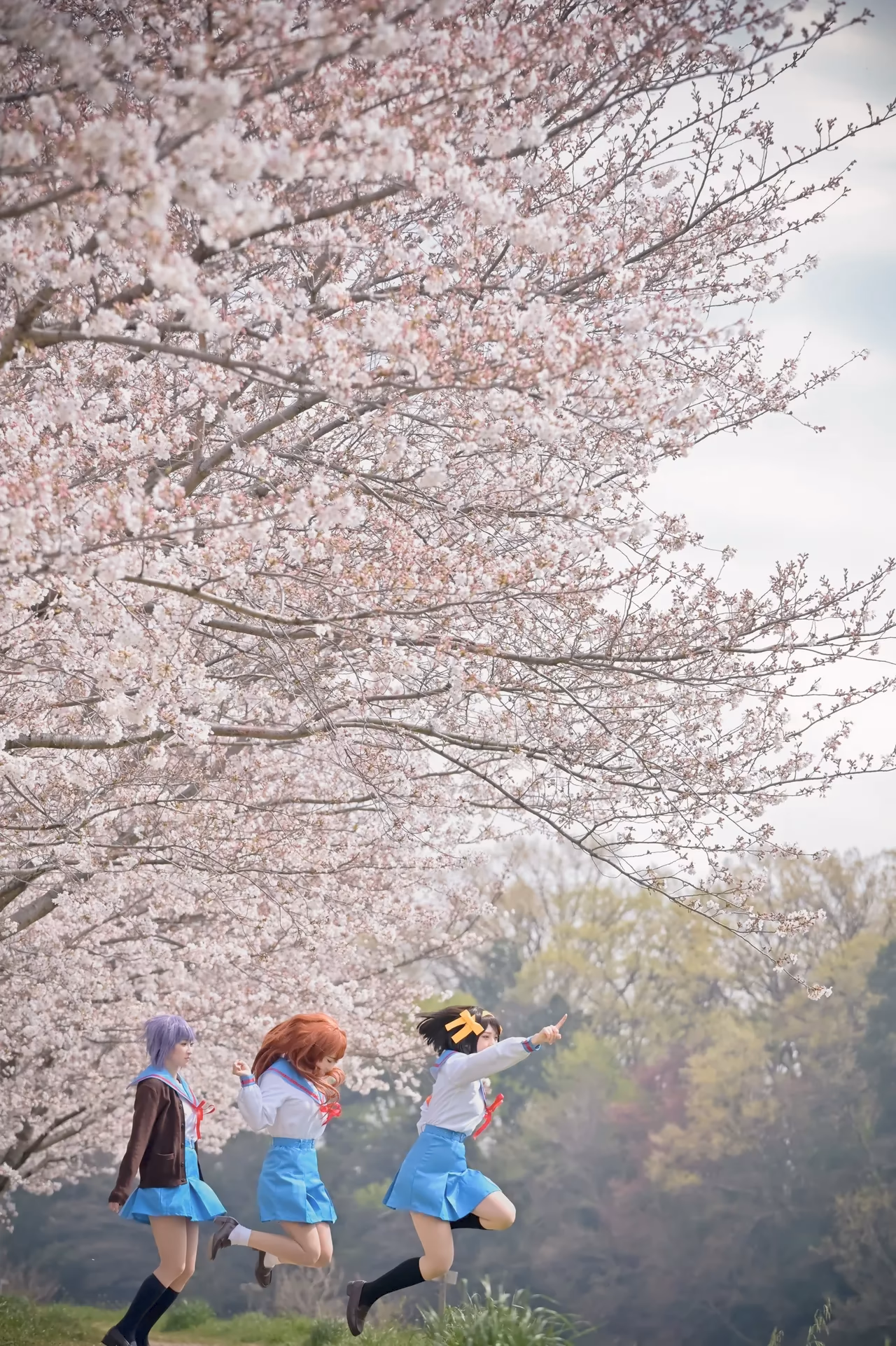 rionsakura as Haruhi Suzumiya, Mikuru Asahina, and Yuki Nagato — cosplay photo 68 of 162
