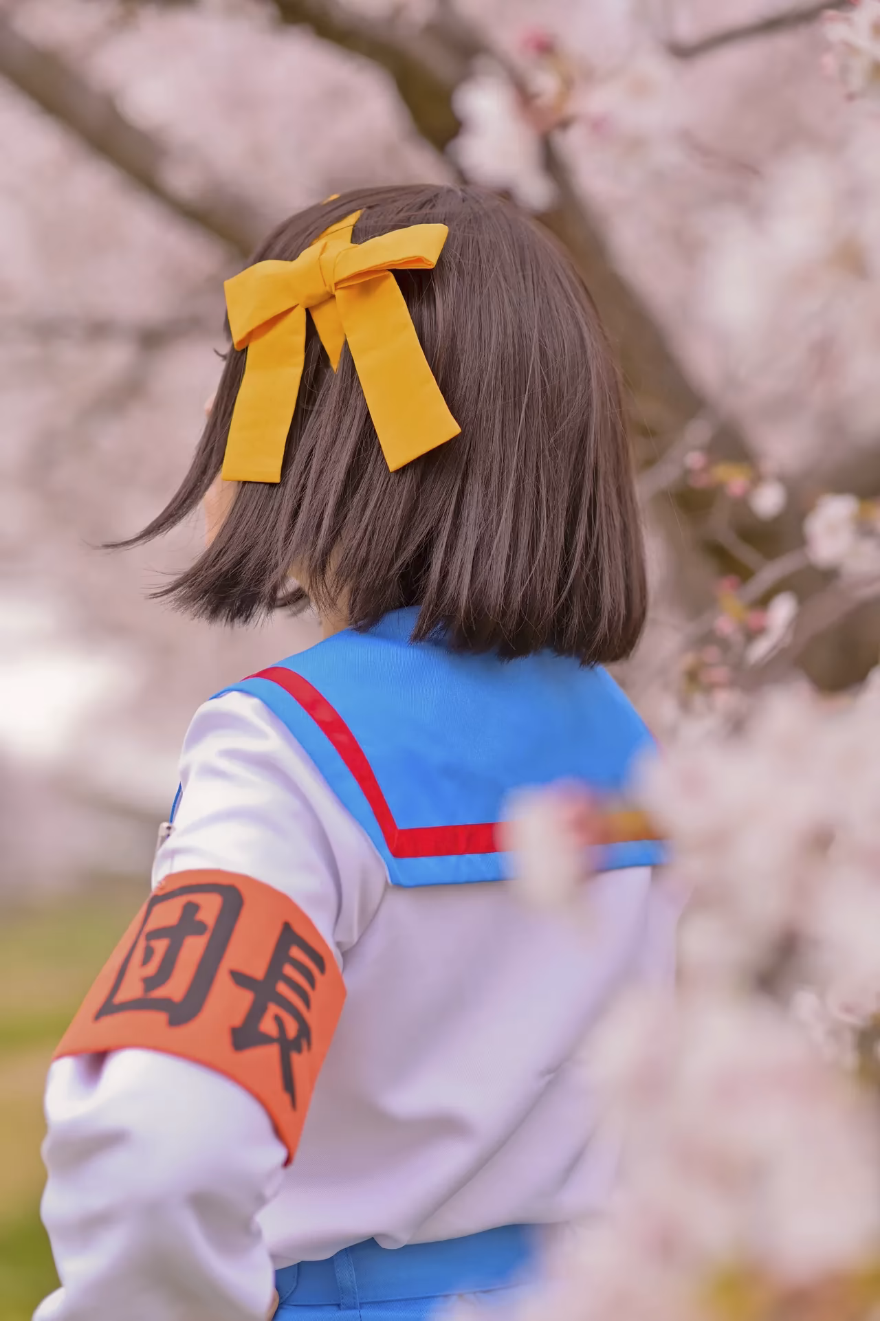 rionsakura as Haruhi Suzumiya, Mikuru Asahina, and Yuki Nagato — cosplay photo 73 of 162