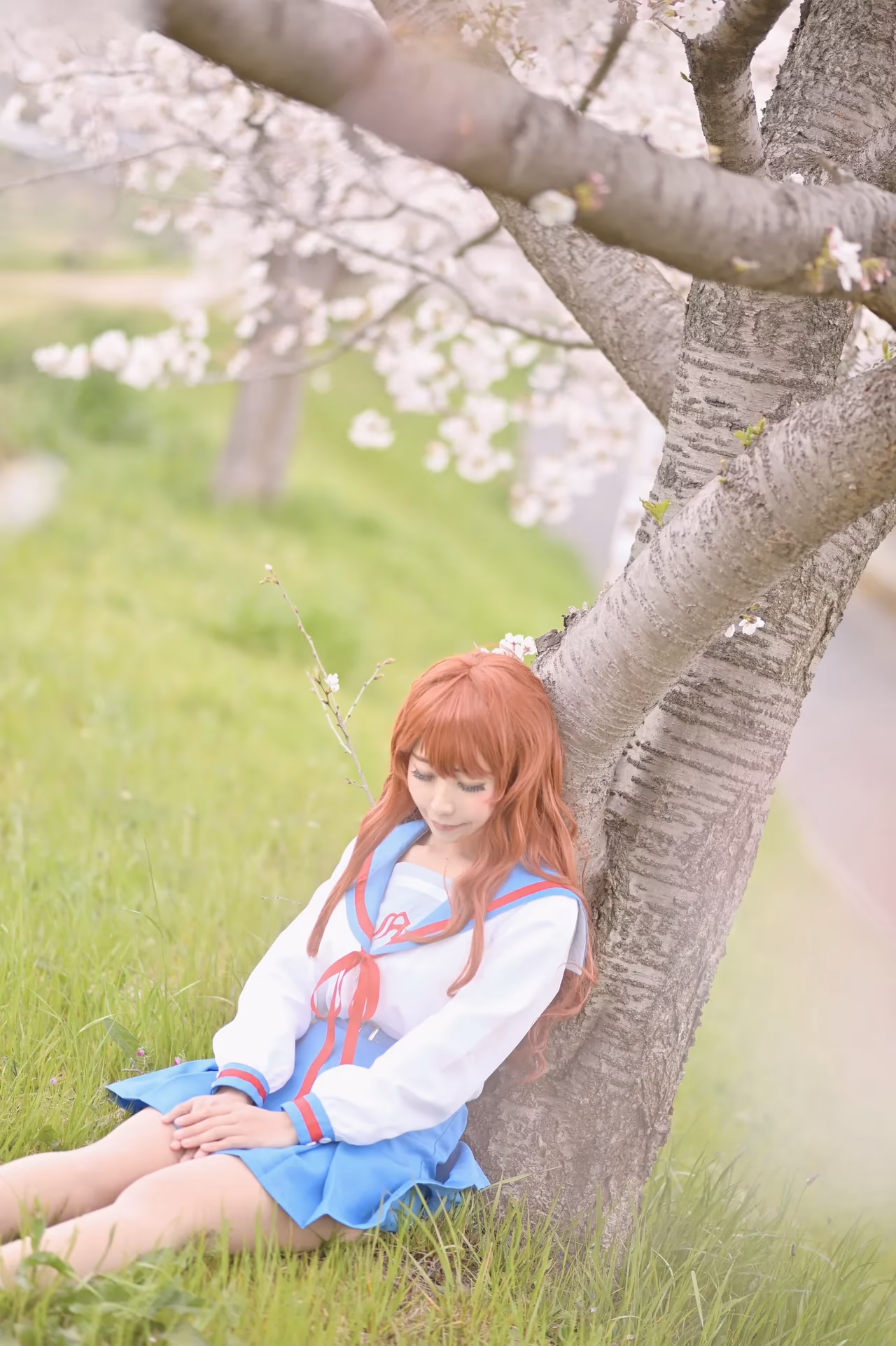 rionsakura as Haruhi Suzumiya, Mikuru Asahina, and Yuki Nagato — cosplay photo 75 of 162